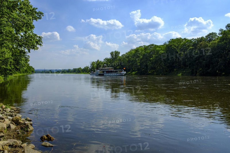 The historic paddle steamer KURORT RATHEN travelling backwards on the Elbe at the steamboat landing stage in Pillnitz, Dresden, Saxony, Germany, Europe