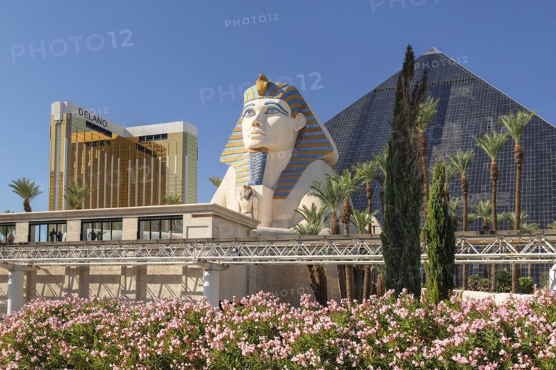 Hotel Delano and Sphinx at the entrance of the Luxor Hotel and Casino, Las Vegas, Nevada, USA, Las Vegas, Nevada, USA, North America