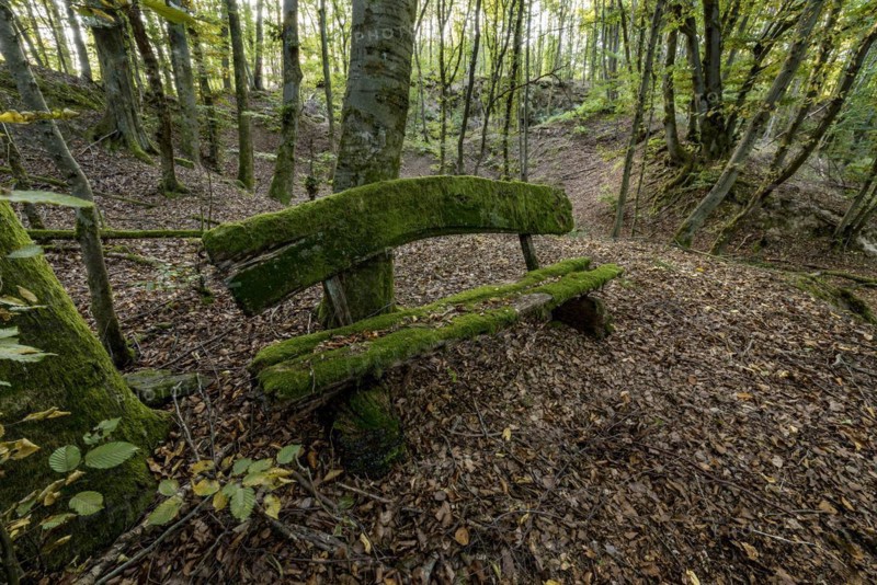 Weathered, rotten and mossy bench made of rough wooden boards, autumn leaves, backlight, beech forest, Raumertswald, volcano, Vogelsberg Volcano Region nature park Park, rest area, Nidda, Wetterau, Hesse, Germany, Europe
