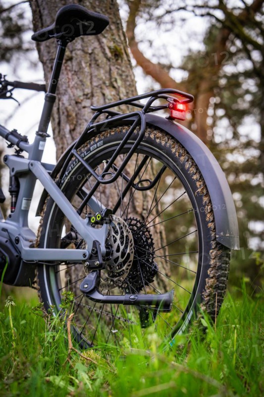 Detailed view of the rear part of an e-bike with focus on the rear light and the tyre, spring, e-bike forest bike, Gechingen, Black Forest, Germany, Europe