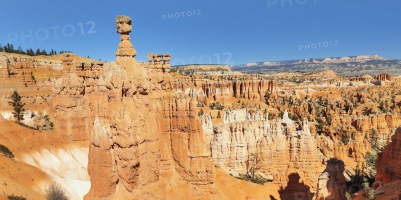 Thor's Hammer, Bryce Canyon National Park, Utah, USA, Bryce Canyon, Utah, USA, North America