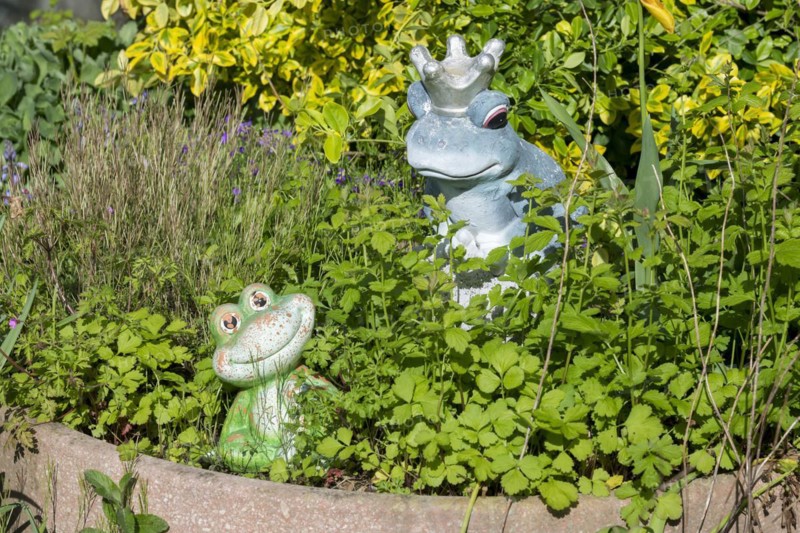 Garden decoration, frogs, frog king, Baden-Wuerttemberg, Germany, Europe