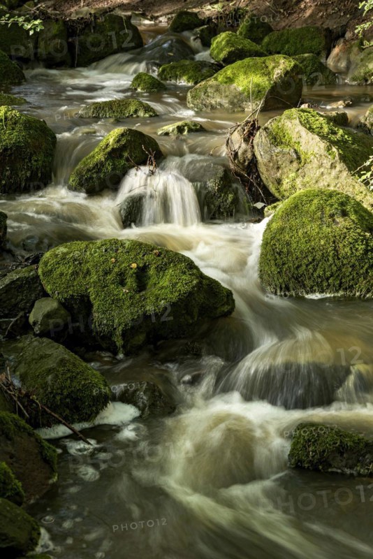 Mountain stream in the forest with mossy basalt rocks, blocks of basalt in the stream bed, Tertiary volcano, flowing water, motion blur, Krummbach, Vogelsberg Volcanic Region nature park Park, Nidda, Wetterau, Hesse, Germany, Europe