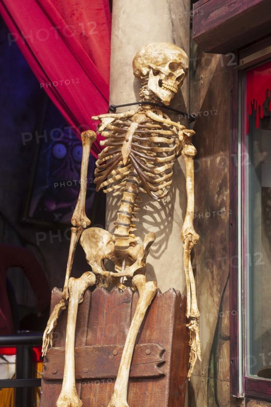 Skeleton with skull on a ghost train, decoration, figure at the Bremen Easter Fair, Buergerweide, Bremen, Germany, Europe
