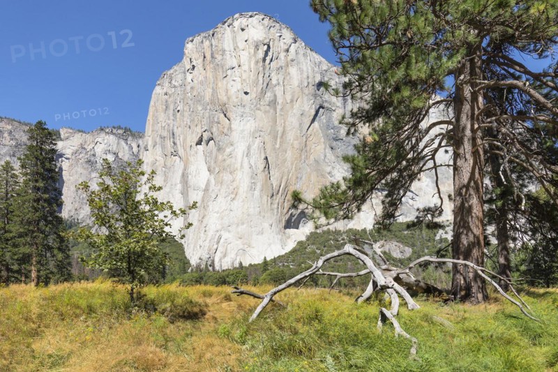 El Capitan, Vosemity Valley, Yosemite National Park, California, United States, USA, Yosemite National Park, California, USA, North America