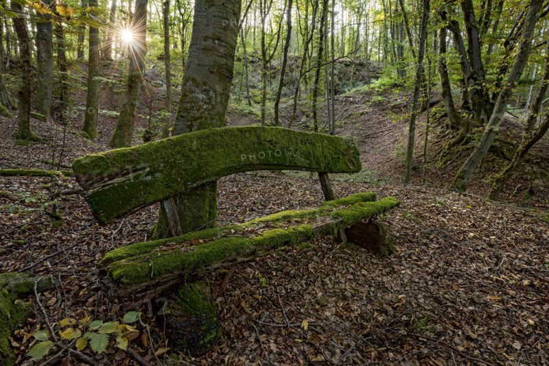 Weathered, rotten and mossy bench made of rough wooden planks, autumn leaves, sun star, beech forest, Raumertswald, volcano, Vogelsberg Volcano Region nature park Park, rest area, Nidda, Wetterau, Hesse, Germany, Europe