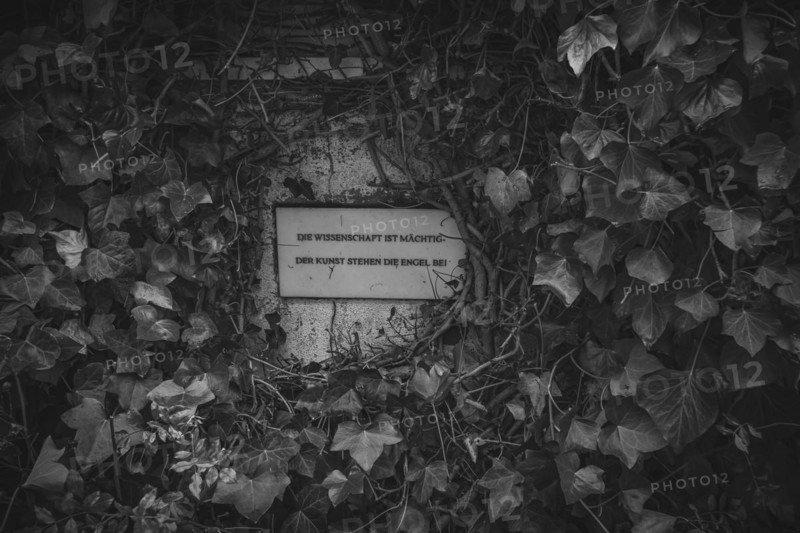 Science is mighty, art is assisted by angels, plaque in front of the art gallery of Isny Castle, formerly St George's Monastery, Isny im Allgaeu, Baden-Wuerttemberg, Germany, Europe