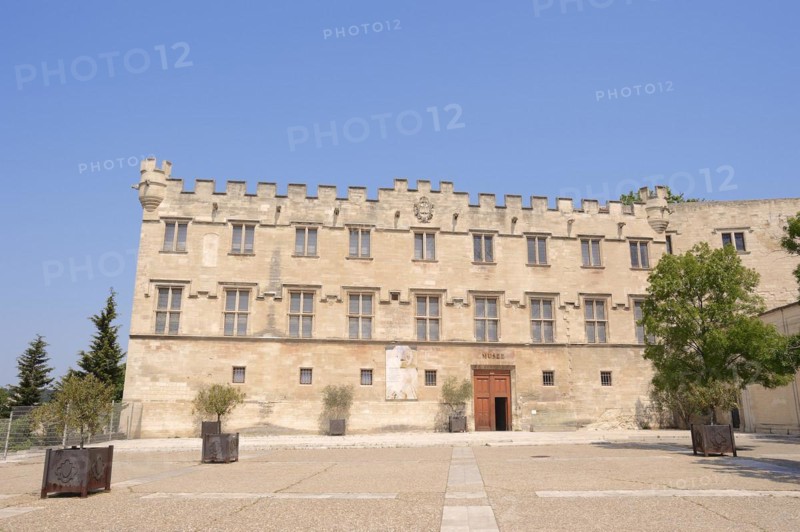 Museum 'Musee du Petit Palais', Avignon, Vaucluse, Provence-Alpes-Cote d'Azur, South of France, France, Europe