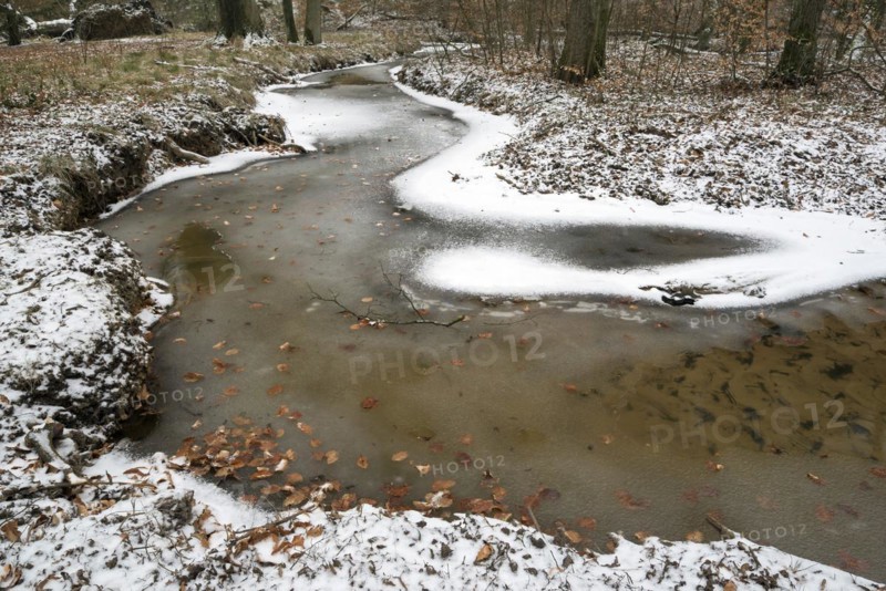 Rotbach, near-natural stream, beech forest, with ice and snow, between Bottrop and Oberhausen, Ruhr area, North Rhine-Westphalia, Germany, Europe