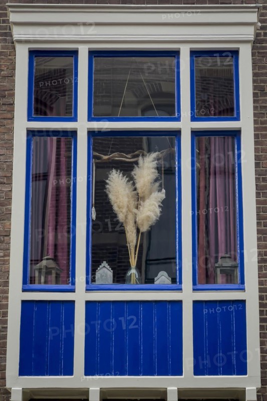 Decorated window, flowers, sparse, design, dutch, decoration, decorated, house, facade, architecture, living, home, property, nobody, sight, room, style, lifestyle, furnishing, blue, colour, wooden window, varnished, Deventer, Netherlands