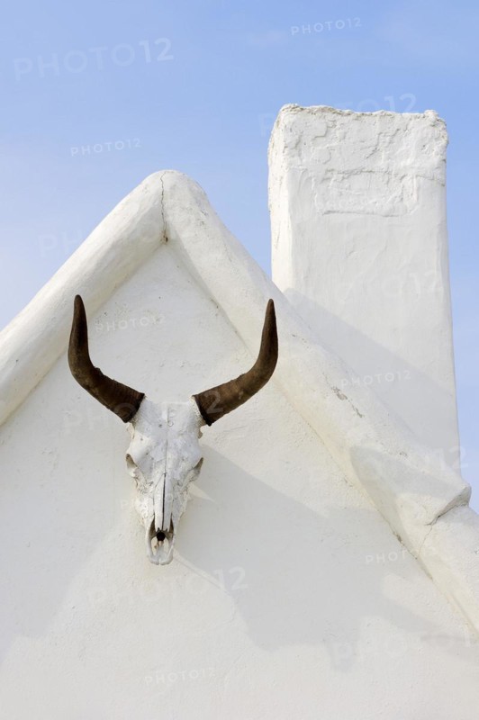 Camargue bull skull on a house wall, Notre Dame de la Mer, Saintes-Maries-de-la-Mer, Camargue, Bouches-du-Rhone, Provence-Alpes-Cote d'Azur, South of France, France, Europe