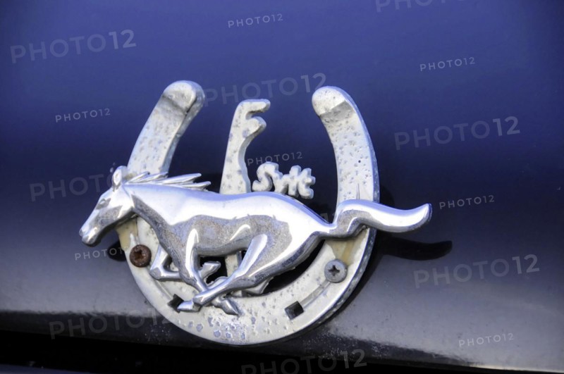 Westerland, Sylt, Schleswig-Holstein, Shiny radiator mascot with horse and horseshoe on a car, Sylt, North Frisian Island, Schleswig Holstein, Germany, Europe