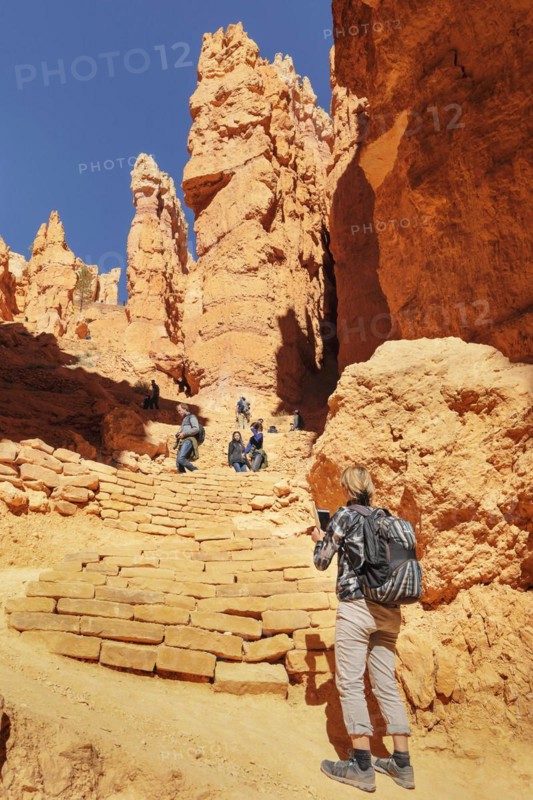 Queen's Garden Trail, Bryce Canyon, Bryce Canyon National Park, Colorado Plateau, Utah, United States, USA, Bryce Canyon, Utah, USA, North America