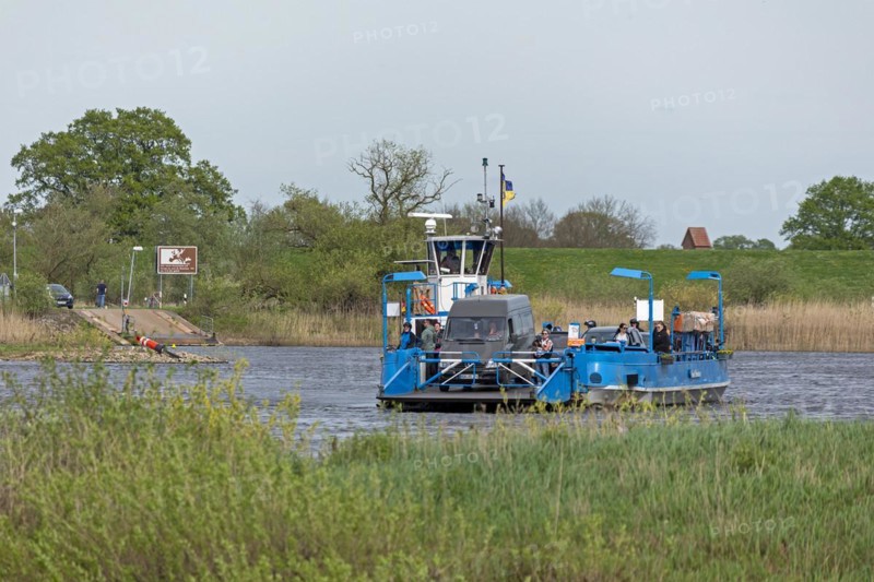Elbe ferry, Bleckede, Lower Saxony, Germany, Europe