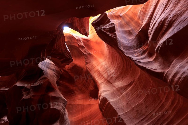 Light and shadow play on the curved, water-sculpted Convolvulus of a canyon, Upper Antelope Canyon, North America, USA, South-West, Arizona, North America