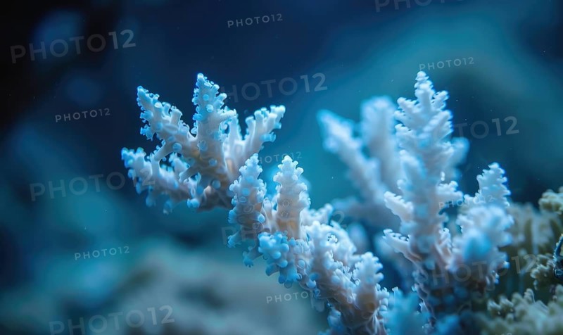 Coral bleaching due to pollution and rising sea temperatures AI generated