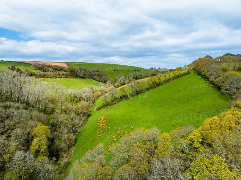 Forest, Farms and Farms over Long Wood and River Dart from a drone, Dartmouth, Kingswear, Devon, England, United Kingdom, Europe