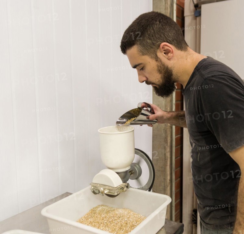 Man grinding malt in production of homemade beer