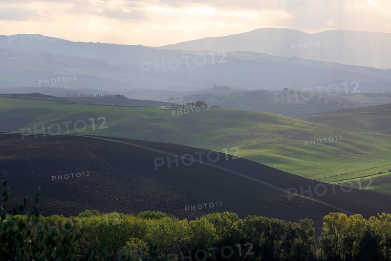 Morning light illuminates the rolling hills and groups of trees in atmospheric Tuscany, Italy, Tuscany, Podere Belvedere, Val d'Orcia, Pienza, Siena Province, Europe