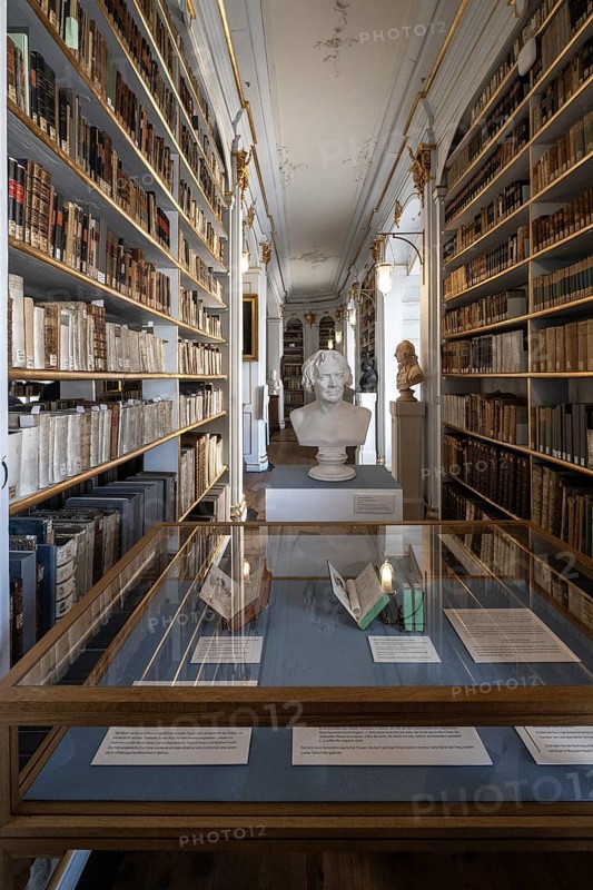 Anna Amalia Library, Weimar, Thuringia, Germany, Europe