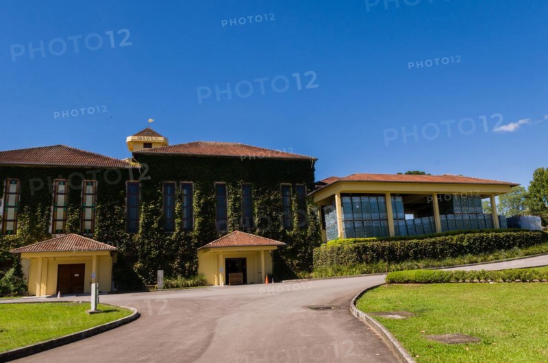 Bento Golcalves, Brasil, April 07, 2017: Luxury Winery, Vineyard of grapes in the Vale dos Vinhedos in Bento Goncalves, a gaucho wine