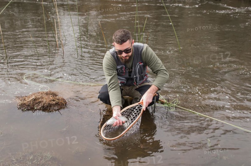 Fisherman fly fishing rainbow trout on mountain in beautiful scenery
