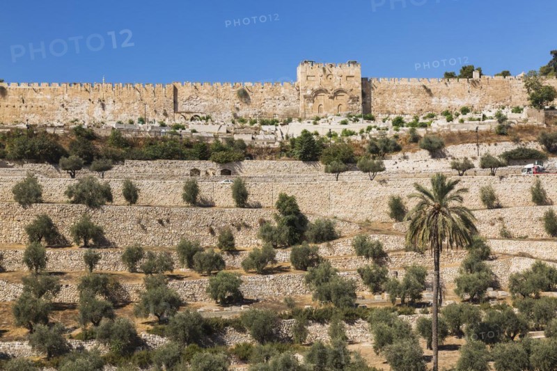 Cemetery with olive trees and fortified stone wall with Golden Gate, Old City of Jerusalem, Israel, Asia
