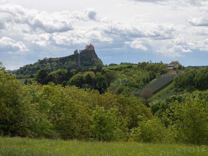 Forest edge, Riegersburg Castle in the background, Styrian volcanic country near Riegersburg, Styria, Austria, Europe
