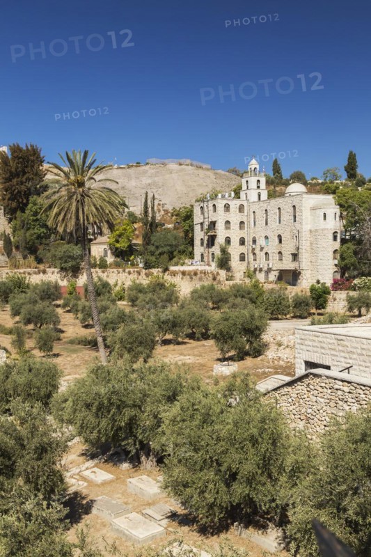 Cemetery with olive trees at the foot of the fortified stone wall of the Old City of Jerusalem, Israel, Asia