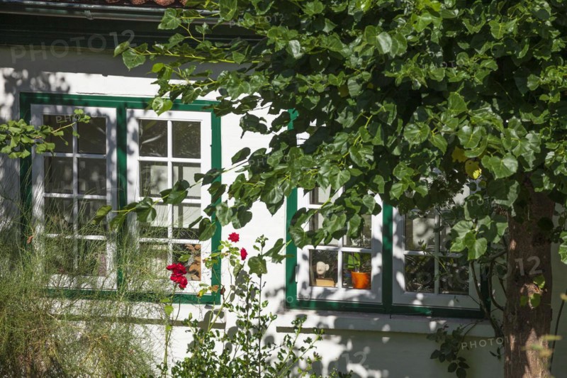 Windows, old half-timbered house in the Treppenviertel, residential building, Blankenese district, Hamburg, Germany, Europe