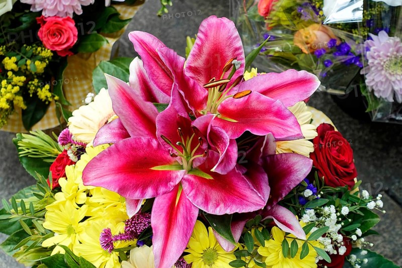 A colourful bouquet of pink Lily (Lilium candidum) and yellow flowers, flower sale, Central Station, Hamburg, Hanseatic City of Hamburg, Germany, Europe