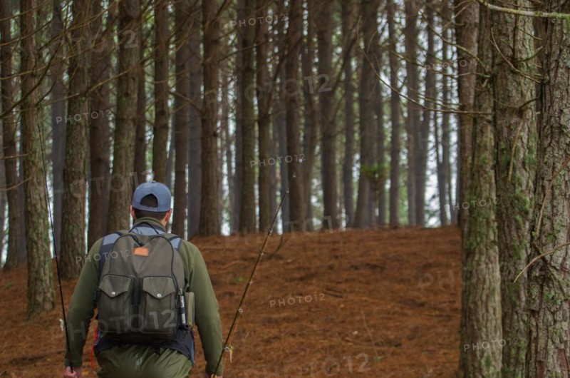 Fisherman walking in pine forest, Cambara do sul, Rio Grande do sul, Brazil, South America