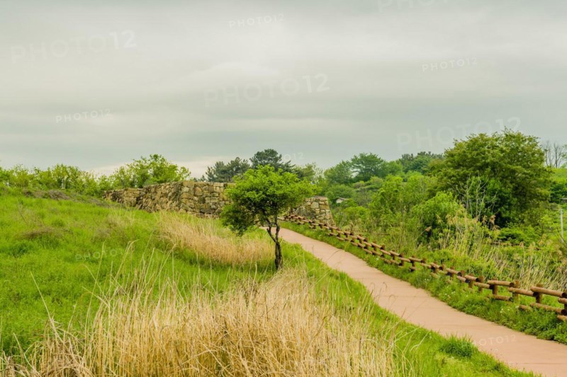 Small tree next to walking path leading to remains of stone fortress in Suncheon, South Korea, Asia