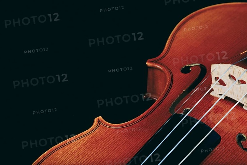Close-up of a violin, showing the elegance and fine workmanship of the wooden body
