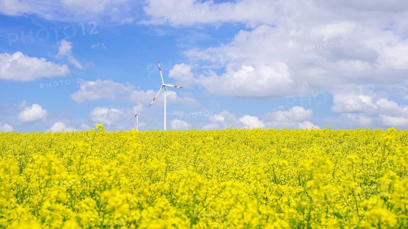 Tomerdingen wind farm, Swabian Alb, Baden-Wuerttemberg, Germany, Europe