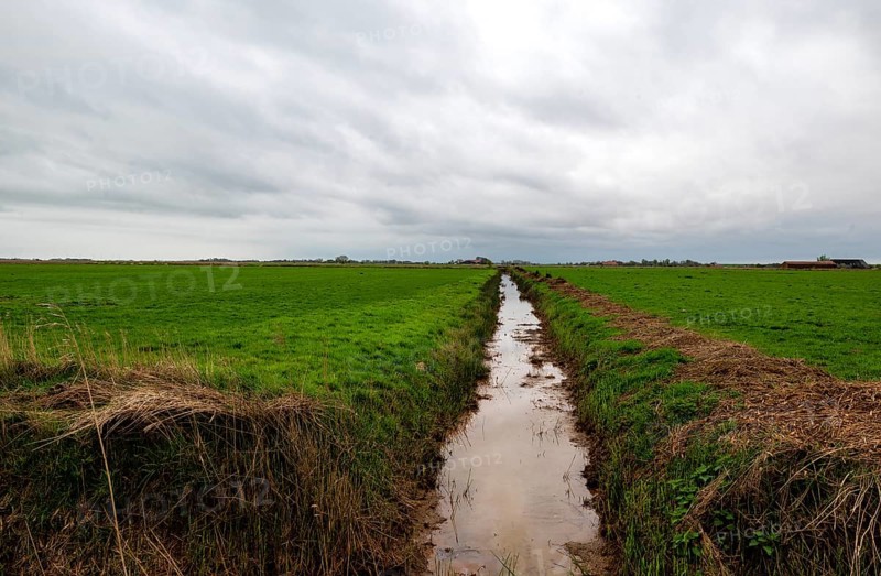 Drainage ditch between Ditzung and Pogum, view in south direction, municipality Jemgum, district Leer, Rheiderland, East Frisia, Lower Saxony, Germany, Europe