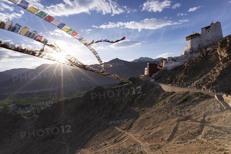 Namgyal Tsemo Gompa Monastery, Tsenmo Hills, Leh, Ladakh, Jammu and Kashmir, India, Asia
