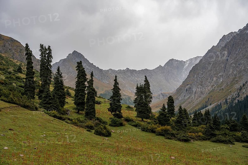 Green Mountain Valley, Chong Kyzyl Suu Valley, Terskey Ala Too, Tien-Shan Mountains, Kyrgyzstan, Asia