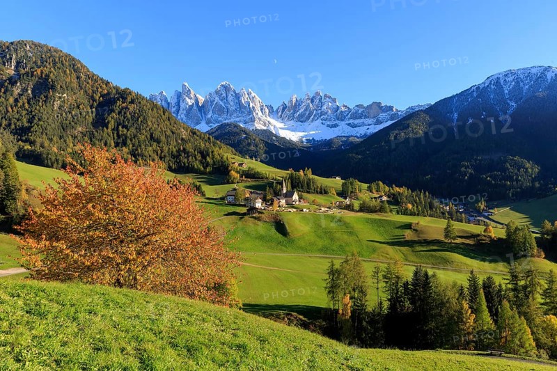 A mountain landscape with colourful autumn forests and snow-covered Pomeranians, Italy, Trentino-Alto Adige, Alto Adige, Bolzano province, Dolomites, Santa Magdalena, St. Maddalena, Funes Valley, Odle, Puez-Geisler Nature Park in autumn, Europe