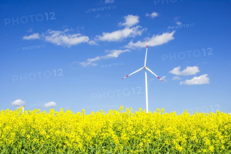 Tomerdingen wind farm, Swabian Alb, Baden-Wuerttemberg, Germany, Europe