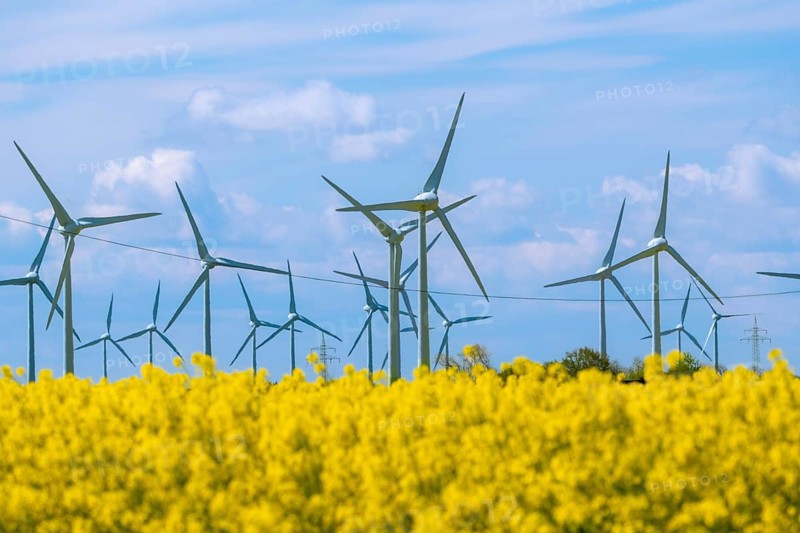 Wind turbines in the Luetetsburg wind farm behind a rape field on the North Sea coast, Hagermarsch, East Frisia, Lower Saxony, Germany, Europe