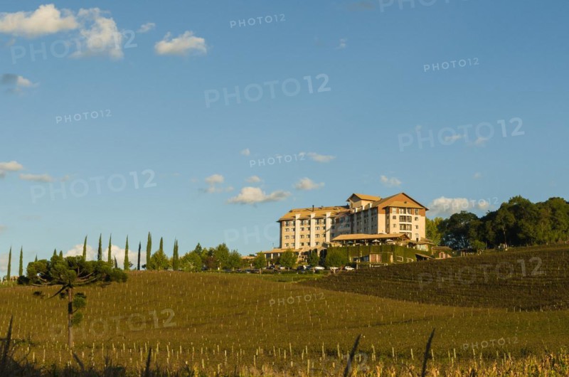 Bento Golcalves, Brasil, April 07, 2021: Luxury Winery, Vineyard of grapes in the Vale dos Vinhedos in Bento Goncalves, a gaucho wine