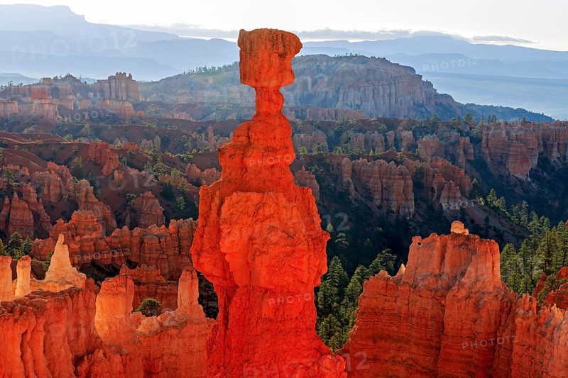 A striking hoodoo towers over a formation of rock towers, Thor's hammer, Bryce Canyon National Park, North America, USA, South-West, Utah, North America