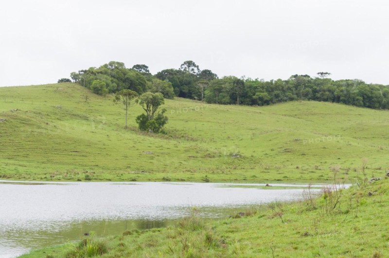 Landscape of the gaucho mountain range, Cambara do sul, Rio Grande do sul, Brazil, South America