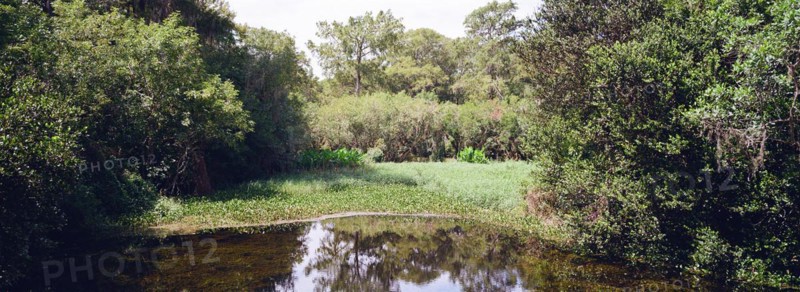 Kirby Storter Roadside Park, Tamiami Trail East, Ochopee, Everglades, Florida, USA, North America