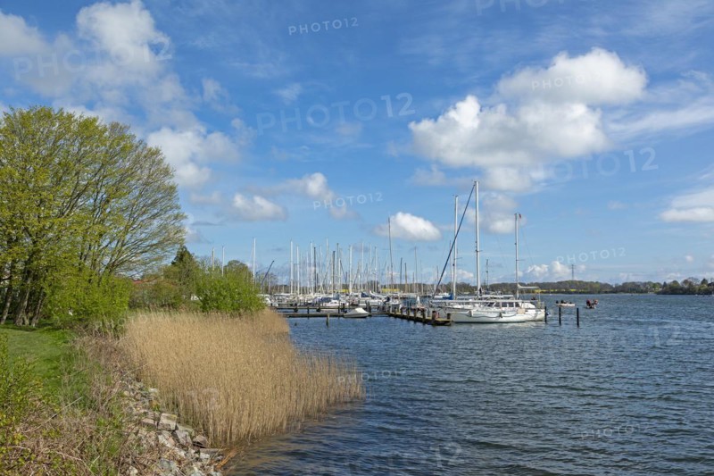 Marina, Oat, herring fishing, Kappeln, Schlei, Schleswig-Holstein, Germany, Europe