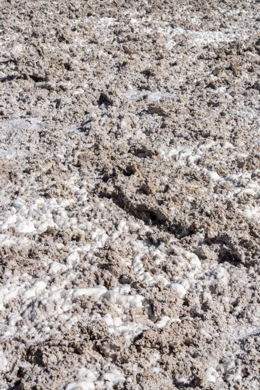 Salt structure, Laguna Chaxa Park, San Pedro de Atacama, Antofagasta, Chile, South America