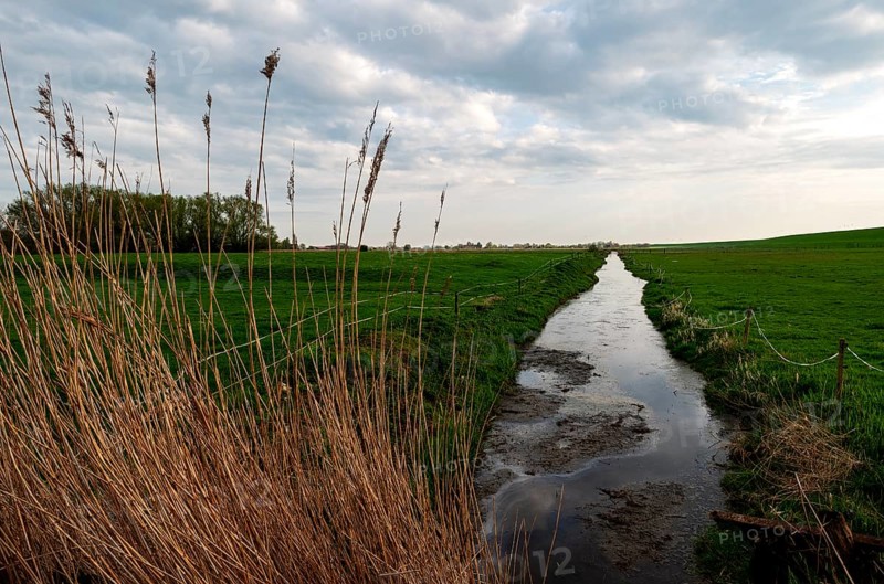 View of the Wymeerer Sieltief in southern direction, Pogum, municipality of Jemgum, district of Leer, Rheiderland, East Frisia, Lower Saxony, Germany, Europe