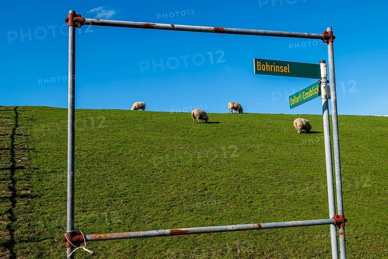 Signposts for drilling platform and Dollart or Ems view on the dyke to the Ems in Pogum, municipality of Jemgum, district of Leer, Rheiderland, East Frisia, Lower Saxony, Germany, Europe