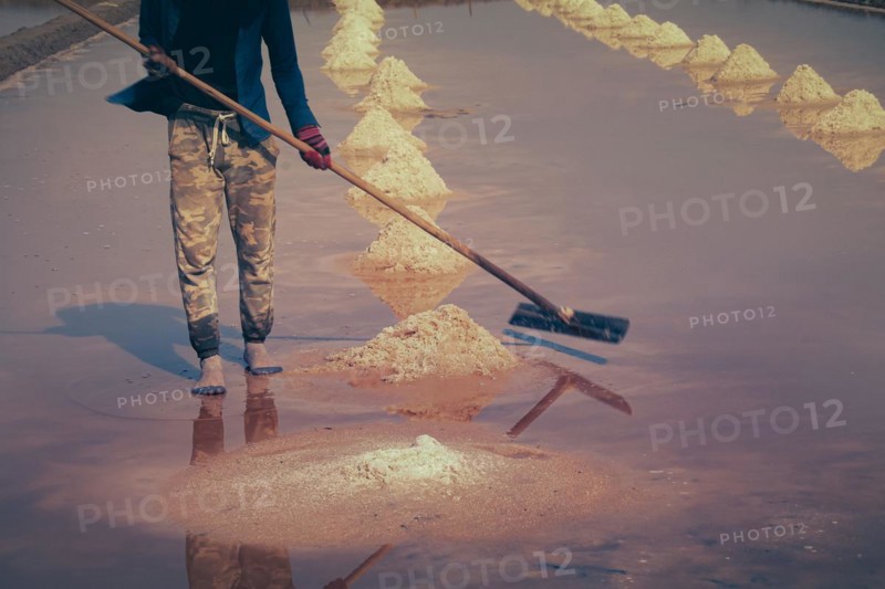 Low section of a khmer worker manually gathering salt into rows and heaps using a long wooden tool in a salt farm in Kampot Cambodia, showing candid and authentic traditional livelihood